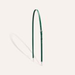 Goyard Cassette Trunk Bag Green - Image 7